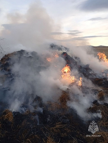 ��������� ����� ������� � ������ 6 ���� ���� � ����������