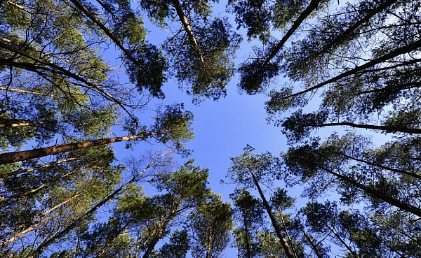 � ����� ������� ���������� ����� ������� 