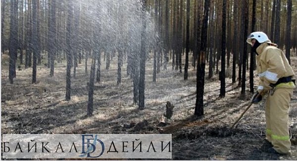 � ����� ������� �������� ������ ����� 2026 ����