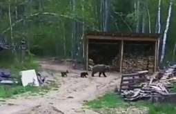 � ������� ��������� � ����������� ����� � ����� 