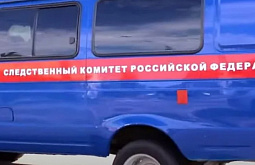 В Иркутске возбудили уголовное дело из-за нападения собаки на ребёнка