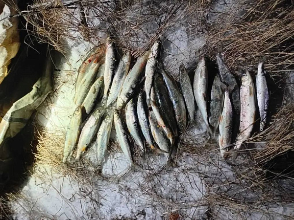 ������ ������� ��������� �������� �� 24 ������ 