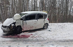 В Бурятии «Тойота» врезалась в дерево, пострадали пять человек