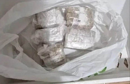 ������ ����-��� ������ �� 20 ��� ������ �� �������� ����������