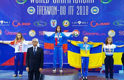 ������������� �� ������� �������� ���������� ���� 