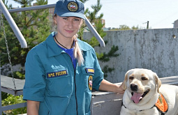 ������ ������� ������ ������� ������-��������� � ��������