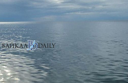 �� ������� ���������� ���������� ���������� 