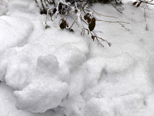 ������� ����� � ������ ������� ��������� �������