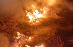 � ���� ������� �� ����������� ������� ��������� ����