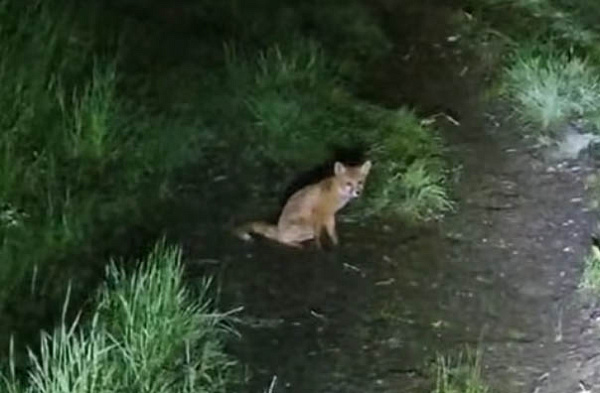 � �������� ������� ��������� ������� ������