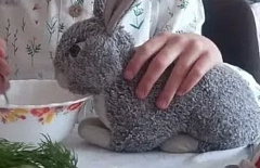 � ������� ���������� ����� ����� ��������� ������� ����� ��������