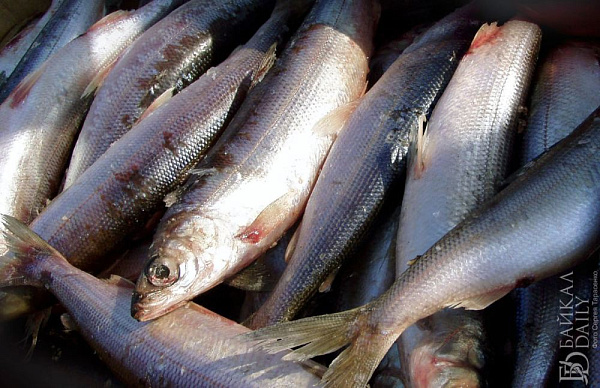 � ������� ��������� �������� 150 � ������ ����� �� �����