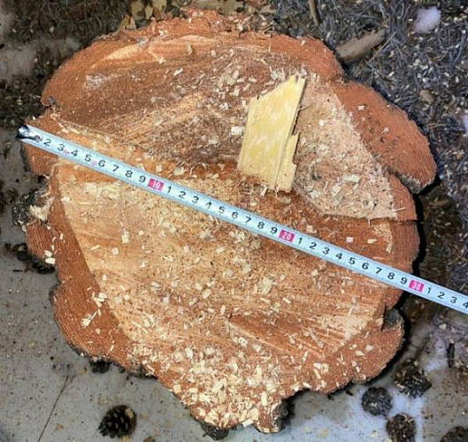 � ������� �������� ������ �� �������� ��������� 