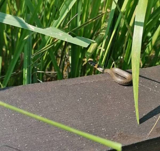 � ������� ���� ������� ��������� �� ������������� ��������� � ��������