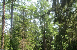 ������ ����� ������� ����� �� ���� ��� � ��� ���� 