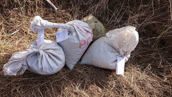 � ������� ������ ������� ����� � ������� � ������ 