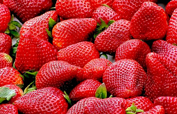 ��������� ���������� ���������� ����� ���������� �������� � ��������� ������� 