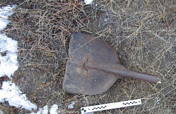 ������ ������� �� ������ ����� ������