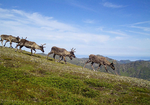 � ������� ������� ��������� ������� ����