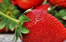 ����������� ��������� ���������� �������� � ������� �����������