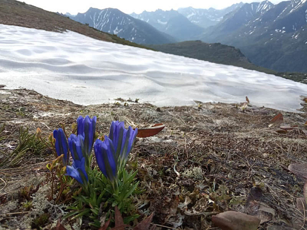 ������ ������� �������� ��������� ����������