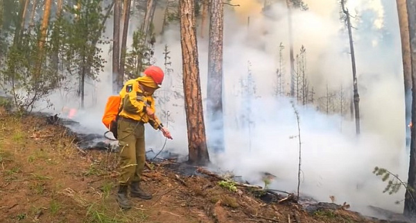 В Бурятии вводят запрет на посещение лесов 