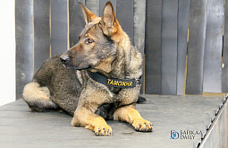 Забайкалец пытался пройти через границу, спрятав в вещах 8 миллионов рублей