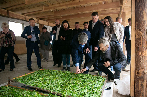 � ������� ������������� �������� ��� ��� ������� 