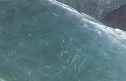 � ������� �������� � ����� ����������� ������� 7 ���� ������ � ������� 