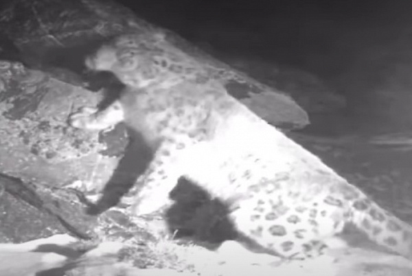 � ������� ������� ���������� �������� �����