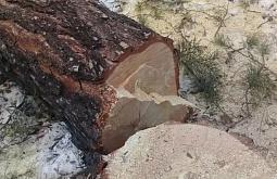 � ��������� ������� ����� ��������� �� ������� ����� ��������� 