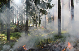 В Джергинском заповеднике Бурятии объявлен пожароопасный сезон