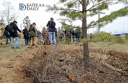 ������� ����� ��������� �������������� �� ������ �������� 