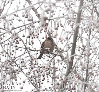 ������� ����� ���������� ����� ������� ����� ������ � ������ ����� 