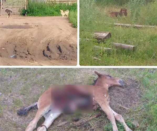 � ������� ������ ��������� �������� 