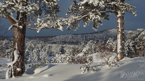 ����� ��� � ������� ������� � 40-���������� ������