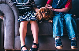 � ������� � ������� �������� ���������� � ��� �������