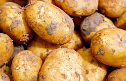 � ������� ������� ��������� ������, ��� ��� ����� 