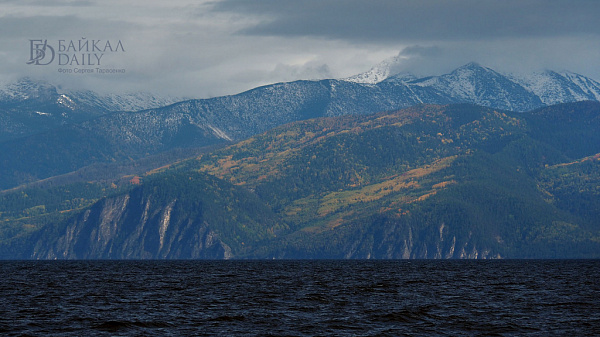 В Бурятии остановили вырубку 2,5 млн кубометров леса на Байкале 