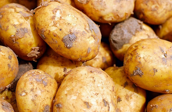 � ������� ������� ��������� ������, ��� ��� ����� 