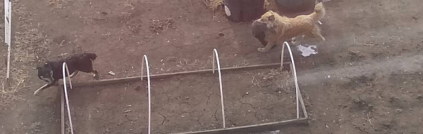 � ����-��� ����������� ������ �������� ������