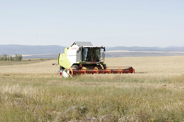 �� ����� ������ ����� ������������ ������ � �������