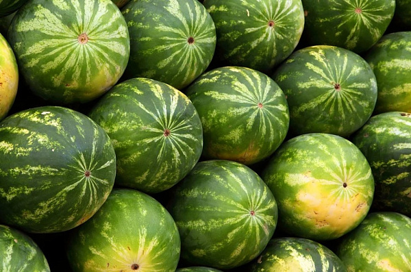 � ������� ������� ��������� ������ �������