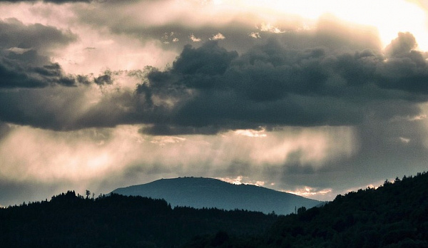 � ����-��� �� ���� ������ ����� �������