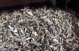 � ������� ������� � ����� ��� ������ ������������� ��������