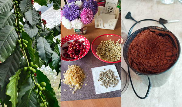 � ������ ���������� ����-��� ���� ����� �������� ������