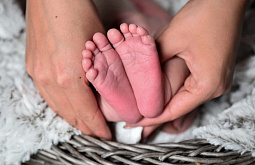 ����-������, ��������� �������������, ������ ������