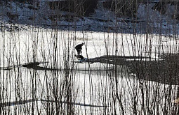 ����-������ ���� ������������� ��� �� ������