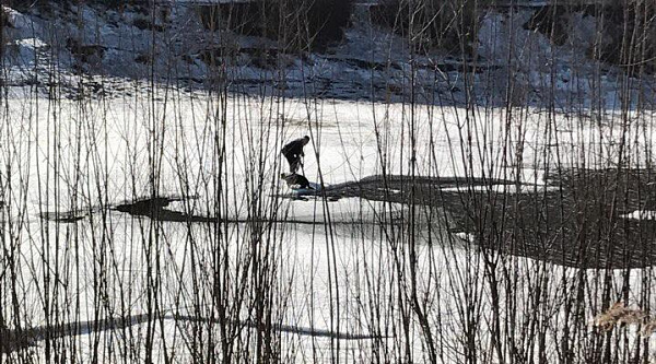 ����-������ ���� ������������� ��� �� ������