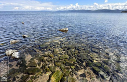 � ��������� ������� ��������� �������� ������������� � ����� � �������� �� �������